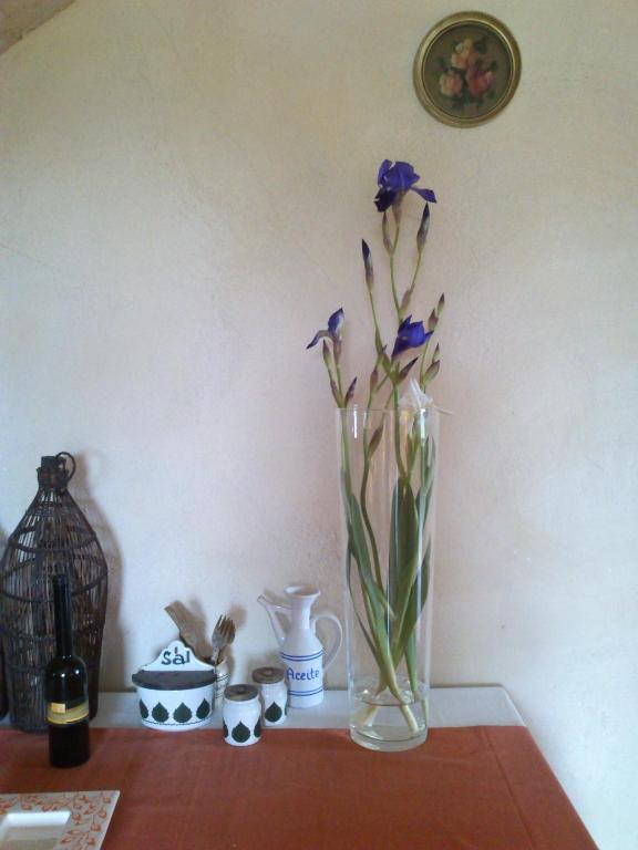 Casa Rural Morera Guest House Ontinyent Luaran gambar